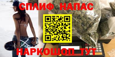 ешки Бийск