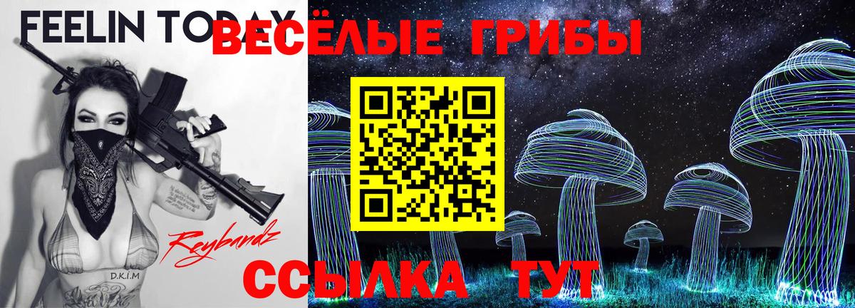 Йошкар-Ола  сколько стоит  Вход с VPN  Псилоцибиновые грибы Cubensis 
